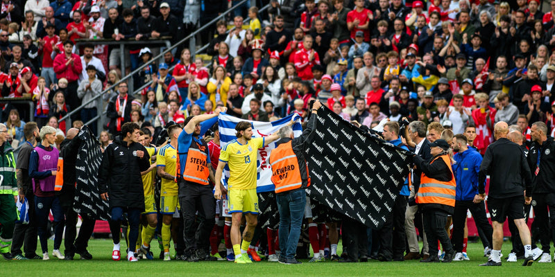 Denmark's Eriksen collapses during Ukraine friendly